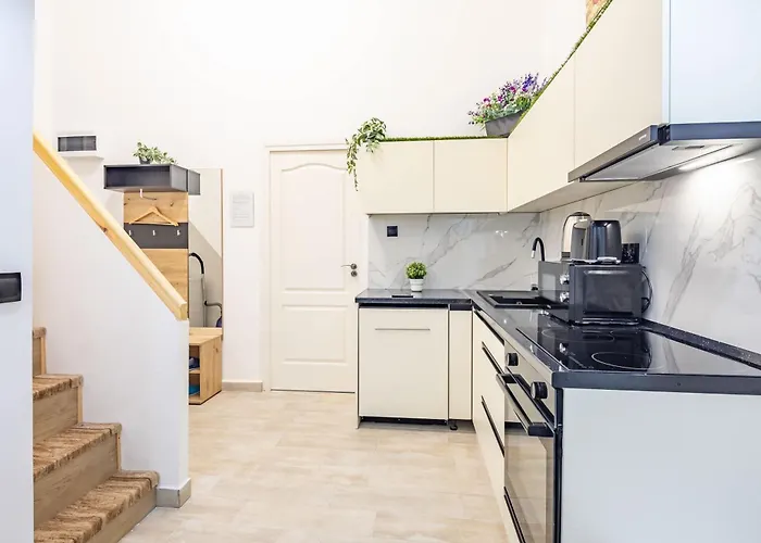 公寓 Spacious - Cozy - 布达佩斯